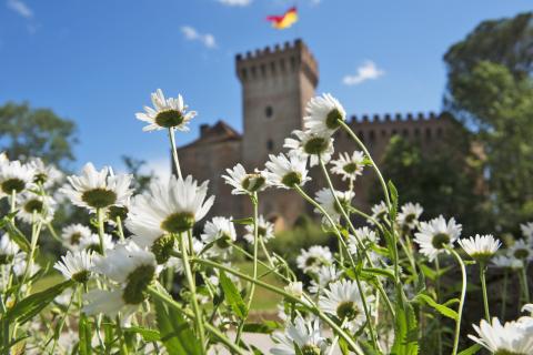 Château de Morlanne