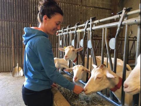 Aide aux jeunes agriculteurs