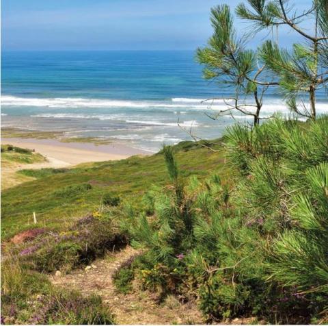 plage d&#039;Erretegia