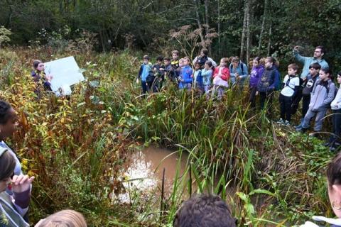 ateliers ENS Habas Bayonne