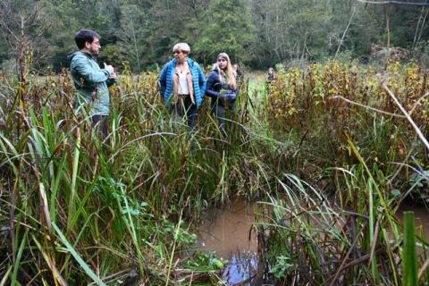 Ateliers ENS Habas Bayonne