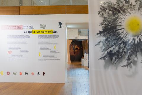 Exposition Mitologia : sur la trace des légendes basques
