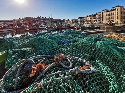 Le port et la criée de Saint-Jean-de-Luz–Ciboure se modernisent pour préparer l’avenir