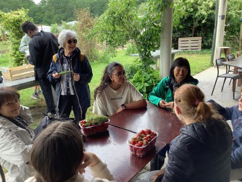 cueillette des fruits